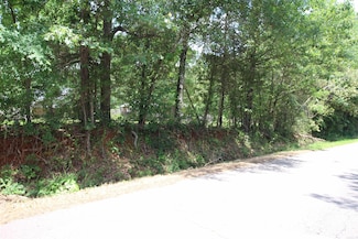 Lot 19 Round Rock Rd, Dover, AR 72802