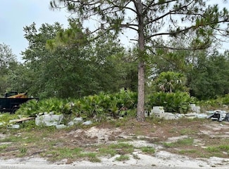 547 Cypress Ave S, Lehigh Acres, FL 33974