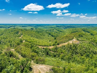 1 Ervin Hill Rd, Beaver Township, OH 45613