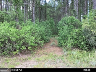 0 Incachee Rd Unit 10547082, White Oak, GA 31568
