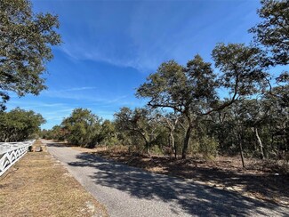0 Black Bear Ln, Winter Garden, FL 34787