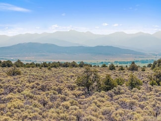 Tbd Elk Ln, San Luis, CO 81152