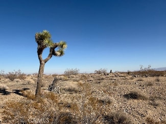 2160 Juniper Ave, Joshua Tree, CA 92252