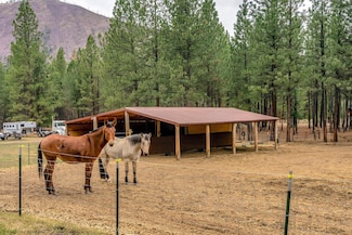 847 Plateau Rd, Alberton, MT 59820
