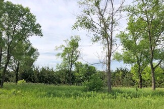 8208 287th St, Randolph, MN 55065