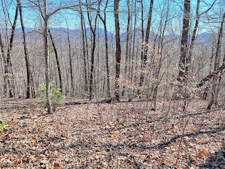 Lot 45-M Pinnacle Dr, Hayesville, NC 28904