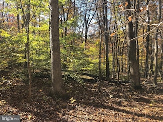 0 Cliff Ln, Bluemont, VA 20135