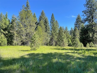 Nhn S Shore Dr, Trout Creek, MT 59874