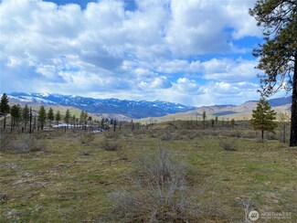 817 Bill Shaw Rd, Methow, WA 98834