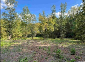 183 Grant 49, Sheridan, AR 72150