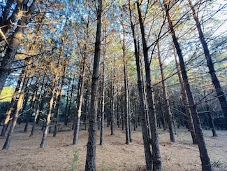 TBD Cr 3659, Queen City, TX 75572