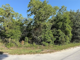 TBD SE 154 St, Summerfield, FL 34491