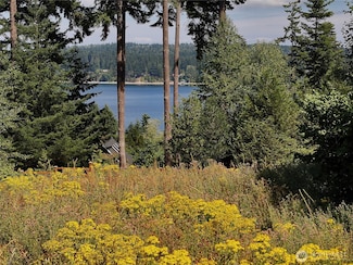 0 XXX S Honeymoon Bay Rd, Freeland, WA 98249