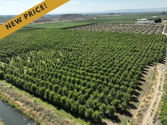 381 Lateral C Rd, Wapato, WA 98951
