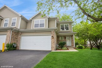 1570 Tuppeny Ct Unit 13535, Roselle, IL 60172