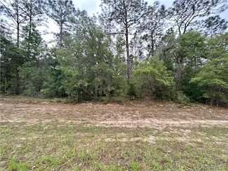1594 W Donner Dr, Citrus Springs, FL 34434