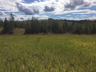 NNA Grange Park Rd Parcel C, Princeton, ID 83857