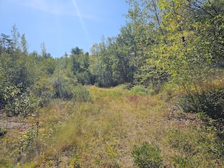 M 3, L 9 Eastern Ridge Rd, Northfield, ME 04654