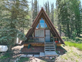 274 Midland Rd, Florissant, CO 80816
