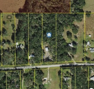 316 Wendel Ave, Lithia, FL 33547