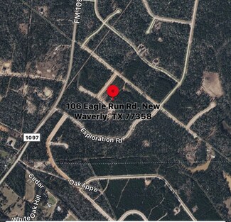 106 Eagle Run Rd, New Waverly, TX 77358