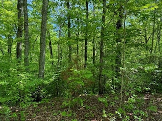Lot 17 Paradise Mountain, Marble, NC 28905