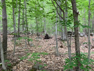 M4 L9-7 Rosenberg Rd, Sumner, ME 04292