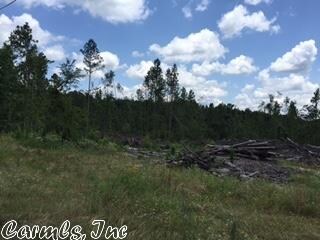 000 Miller Sardis Rd, Bauxite, AR 72011