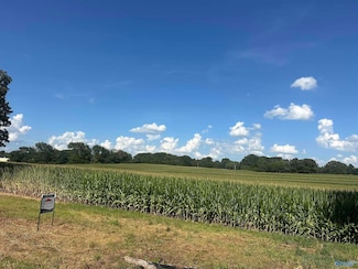 14.3 acres Tillman Mill Rd, Athens, AL 35614