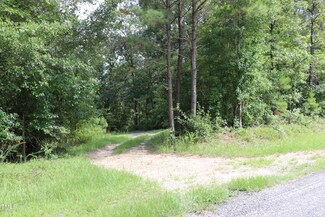 247 Farrar Dairy Rd, Lillington, NC 27546
