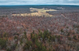 0 Ray Hicks Road Tract 3, Viburnum, MO 65566