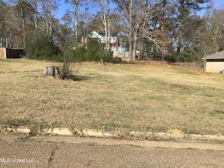 0 Oak Vinyard Dr, Byram, MS 39272