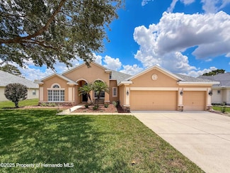 13248 Linzia Ln, Spring Hill, FL 34609