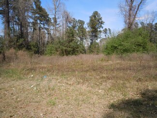 509 Live Oak St, Tabor City, NC 28463