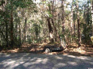 0 Summer Duck Cove, Georgetown, SC 29440