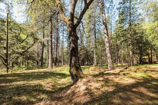14737 Big Hill Rd, Sonora, CA 95370