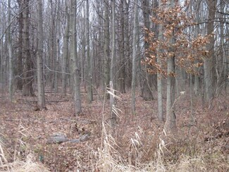 1330 Babcock Rd, Burns Harbor, IN 46304