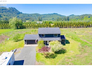25922 NE 419th St, Amboy, WA 98601