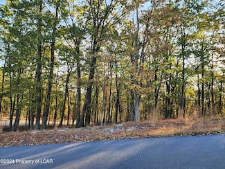 HF3 430 Big Spring Rd, East Union Township, PA 18202