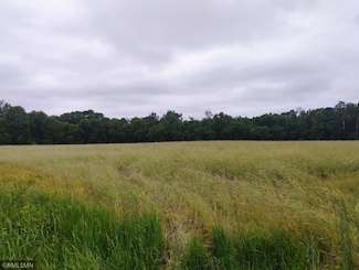 6XXX County Road 6 NW, Springvale Township, MN 55371