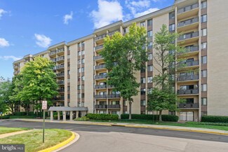 3100 S Manchester St Unit 342, Falls Church, VA 22044