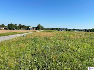 0 Palestine Rd Unit HK24001852, Campbellsville, KY 42718