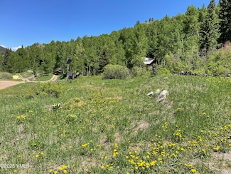 001 Street 8, Eagle, CO 81631