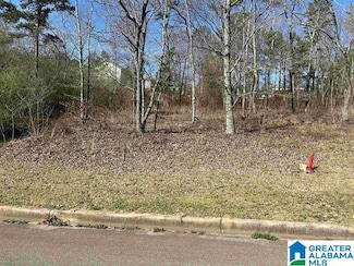 1 Summit Ridge Way Unit 60, Argo, AL 35120