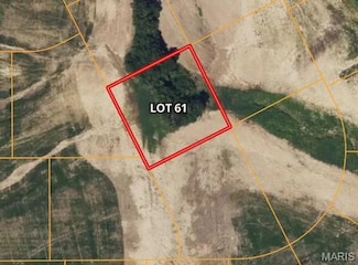 166 McMorland Dr, O'Fallon, MO 63366