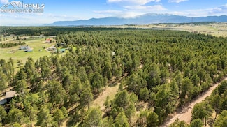 8395 Pine Cone Rd, Black Forest, CO 80908