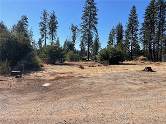 1800 Heynen Rd, Paradise, CA 95969