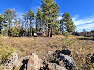 399 Riverside Dr, Lakeside, AZ 85929