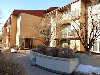 2500 W Talcott Rd Unit 207, Park Ridge, IL 60068