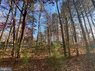 19416 Hummingbird Rd, Ellendale, DE 19941